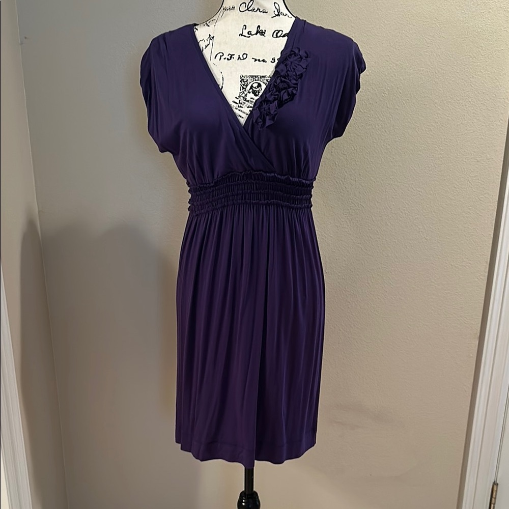 Max Edition Elegant Purple Women's Dress
